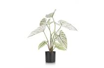 Coco Maison Caladium H60cm kunstplant 